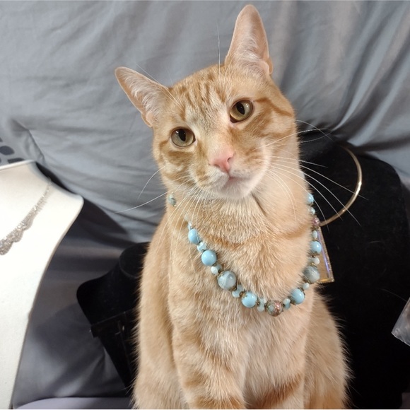 November 26th ☃️🫶 - Picture 7 of 16